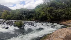 Entre Ríos y Aventuras: Un Viaje Inolvidable a Jalcomulco, Veracruz
