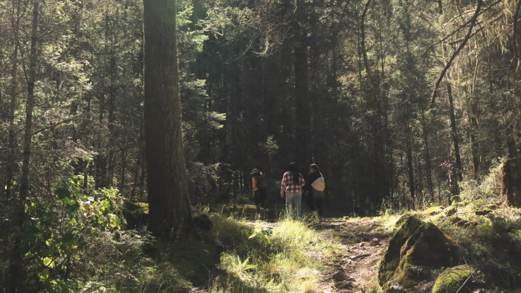 Caminando por el cofre de perote
