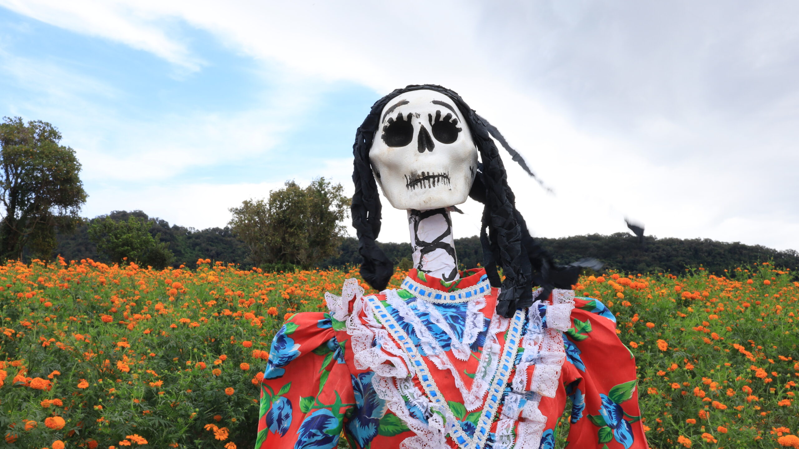 San Pablo Coapan: El mar de naranja donde el Día de Muertos cobra vida